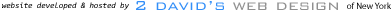 2 davids web design and website hosting